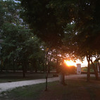 IMG_9665.jpeg