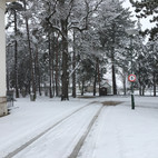 IMG_7727.jpeg