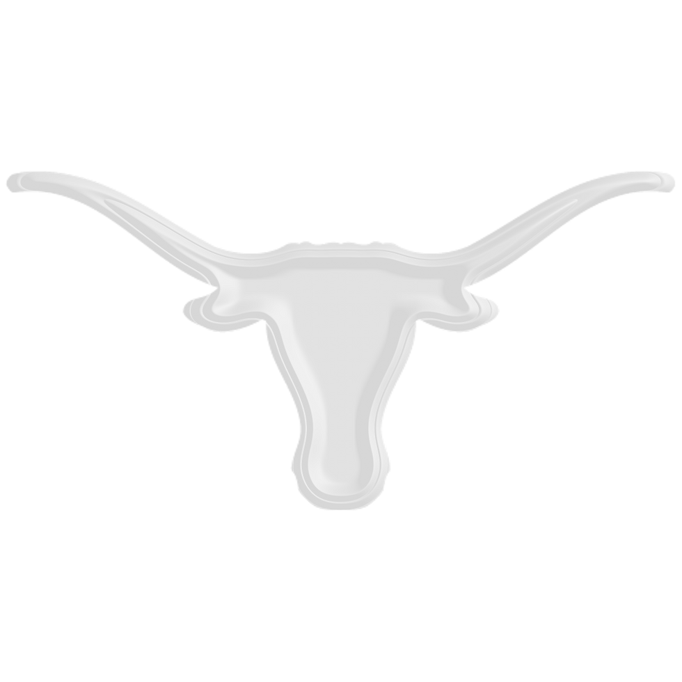 Texas_edited.png