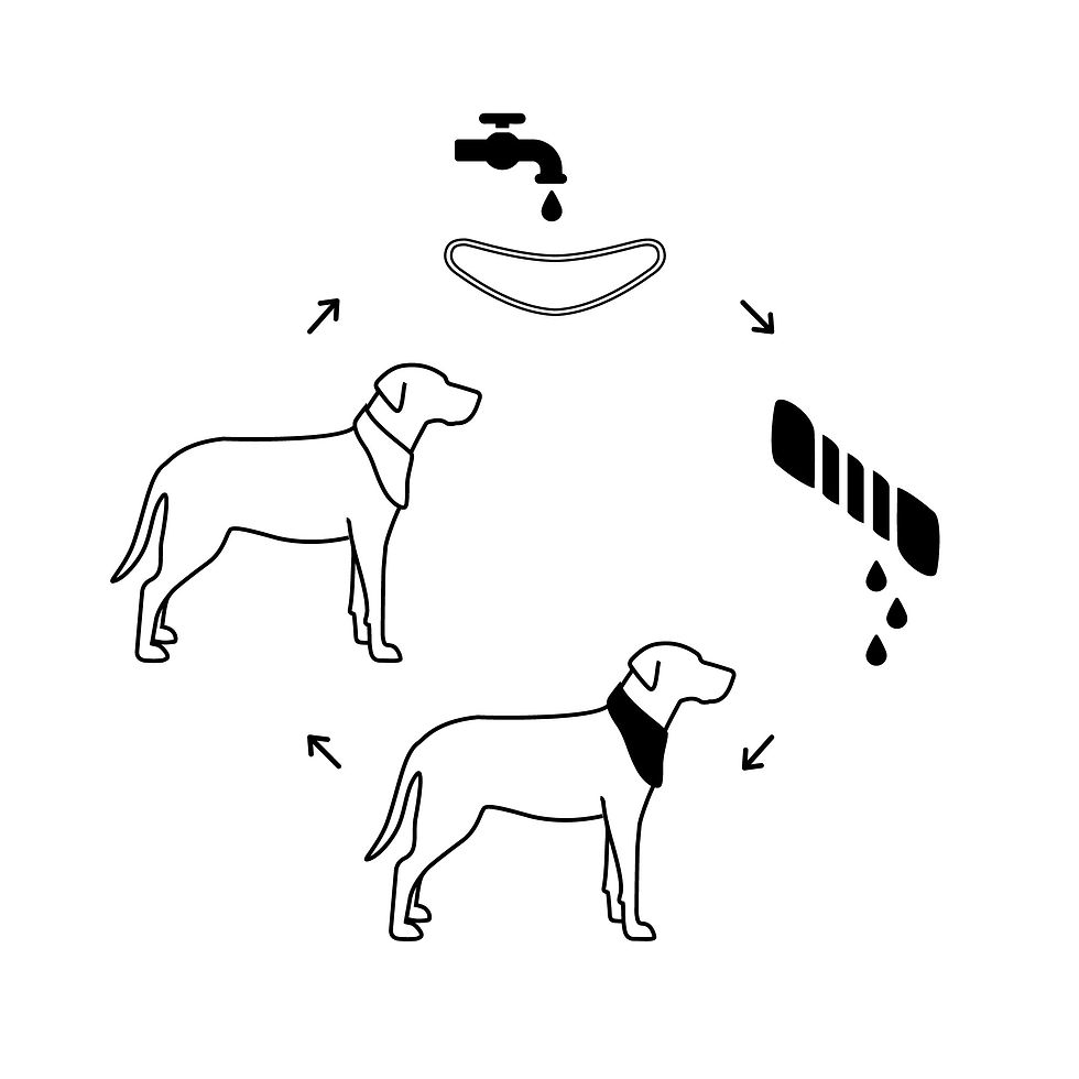 Thumbnail: ICE BAND - Dog Cooling Bandana