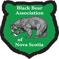 Black Bear Association Logo