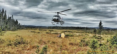 Helicopter Drop Hunts