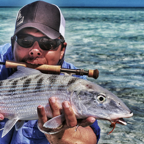 Cayo Coco