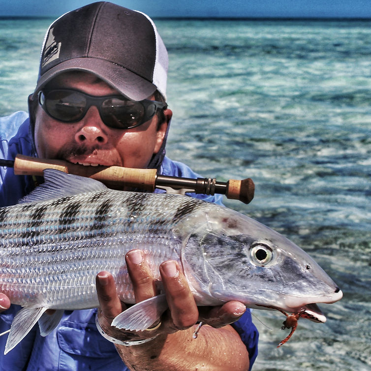 Cayo Coco