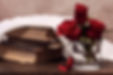 roses-4838738_1280 (1).jpg