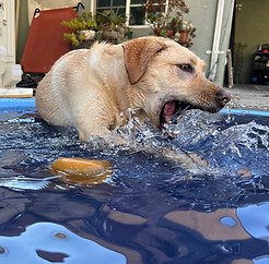 kona fun pool_edited.jpg