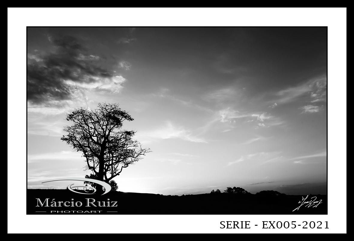 Título da Obra: DESTAQUE