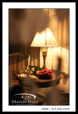 SERIE - ALT.806-2009 - ACONCHEGANTE