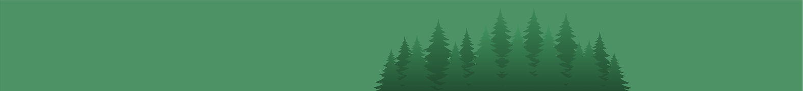 Durango Banners Header Background