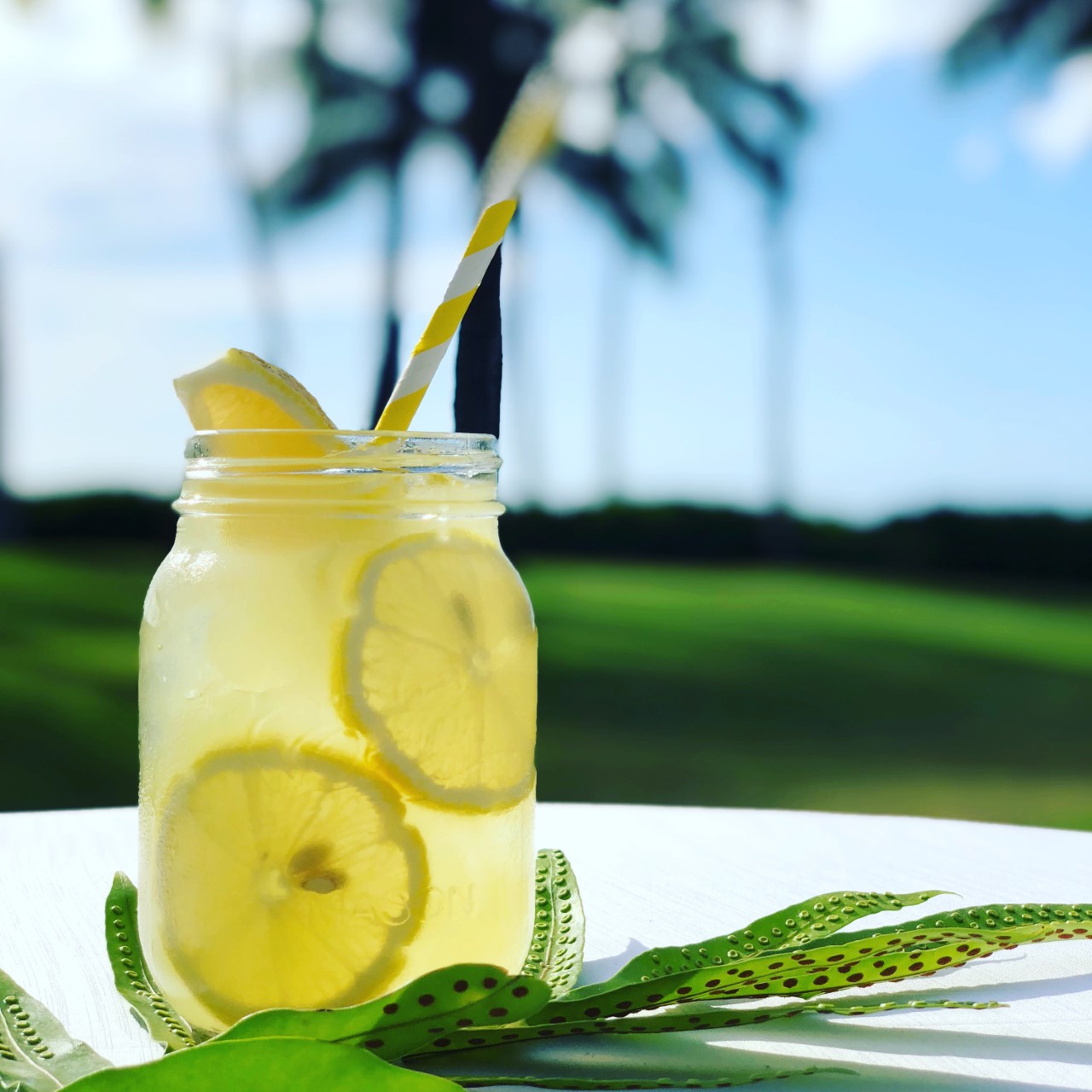 Non Alcoholic Plantation Lemonade