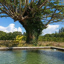detente-provence-tulette-Nathalie-bassin.png