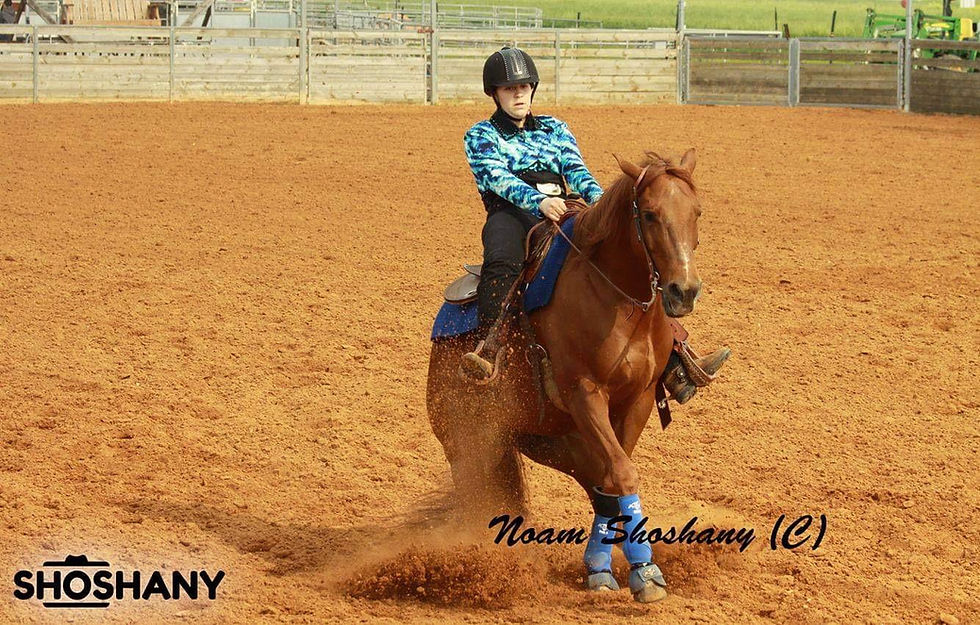 שיעורי רכיבה מערבית