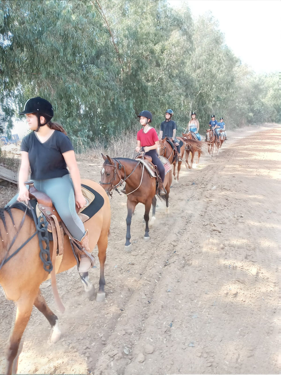 בני יערי קורס רכיבה