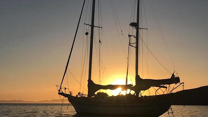 Rosa-Lee Yatch