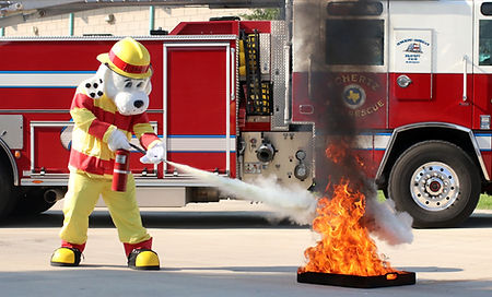 Sparky.jpeg