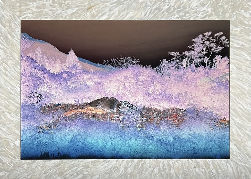 Transformation by Lukas Kroulik, C-Type Fuji Flex, in a one-off handmade frame crafted from recycled plastic bottles collected in Soho, (H) 40cm (W) 55cm (D) 2cm