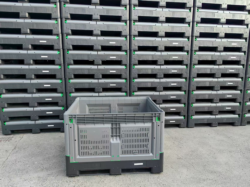 WhatsApp Image 2025-08-01 at 14.01.46_87a75a92-name removed.jpg