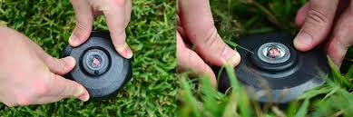 red eye termite baiting system