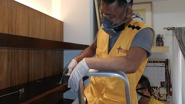 dumaguete termite control