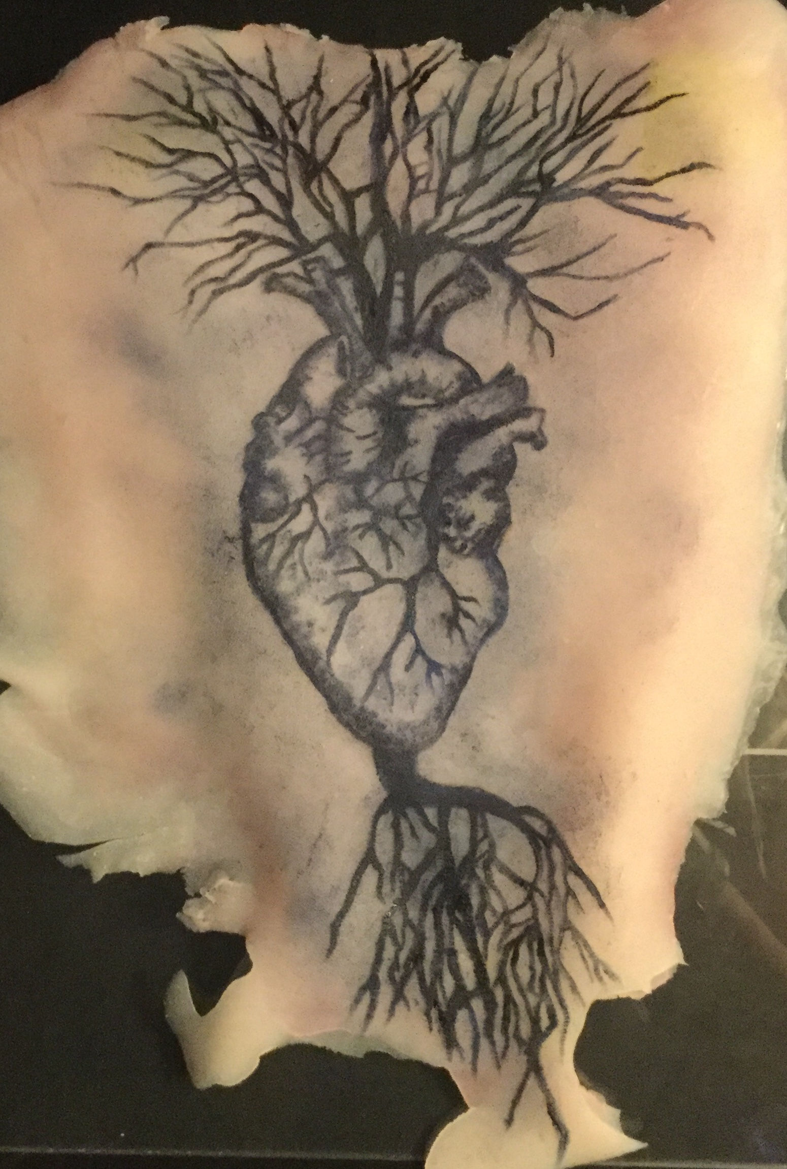 Preserved human skin replicas