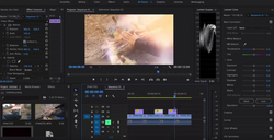 Screen Shot 2561-03-11 at 8.13.41 PM