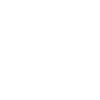 National Endowment for the Arts_edited.png