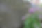 7M5A3888.JPG