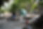 413A4894.JPG
