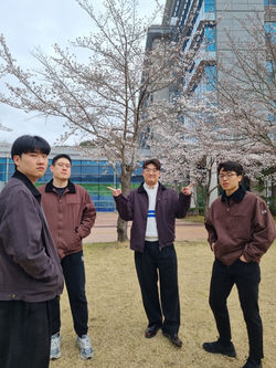 2026 벚꽃사진