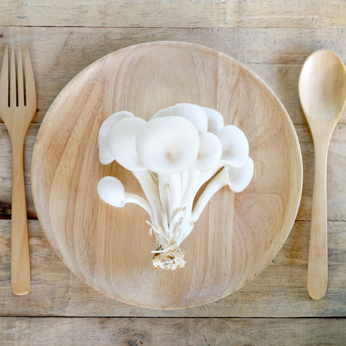 Witty White Oyster Mushroom BlueLeaves farms