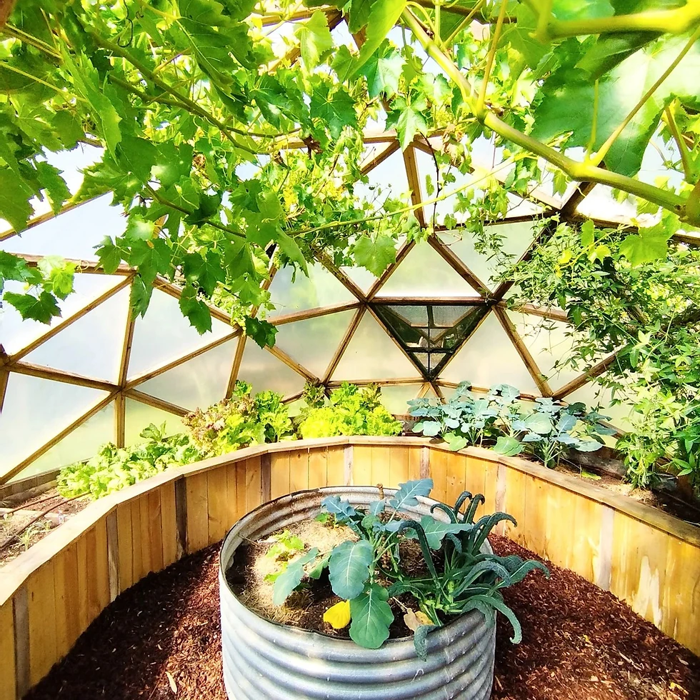 Thumbnail: 5m Geodesic Greenhouse
