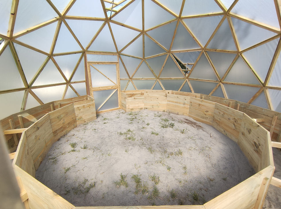 Thumbnail: 6m Geodesic Greenhouse