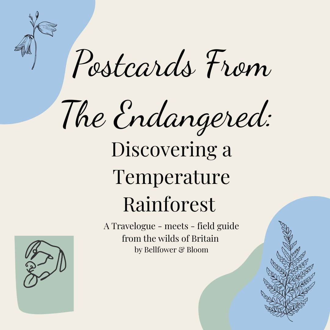 Postcards from the Endangered: A Temperate Rainforest