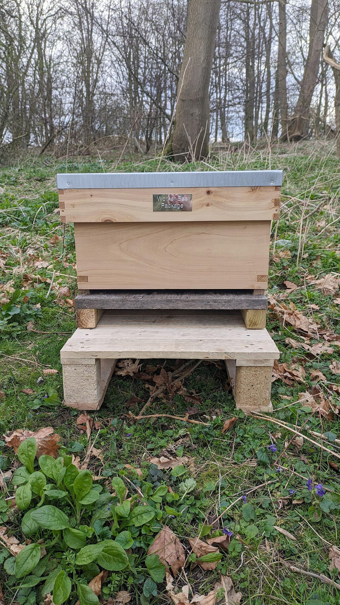 Adopt a Hive: Worker Bee Package
