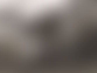 VALIANT HEARTS: THE GREAT WAR (Recensione)