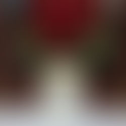 Natal dos Saletianos