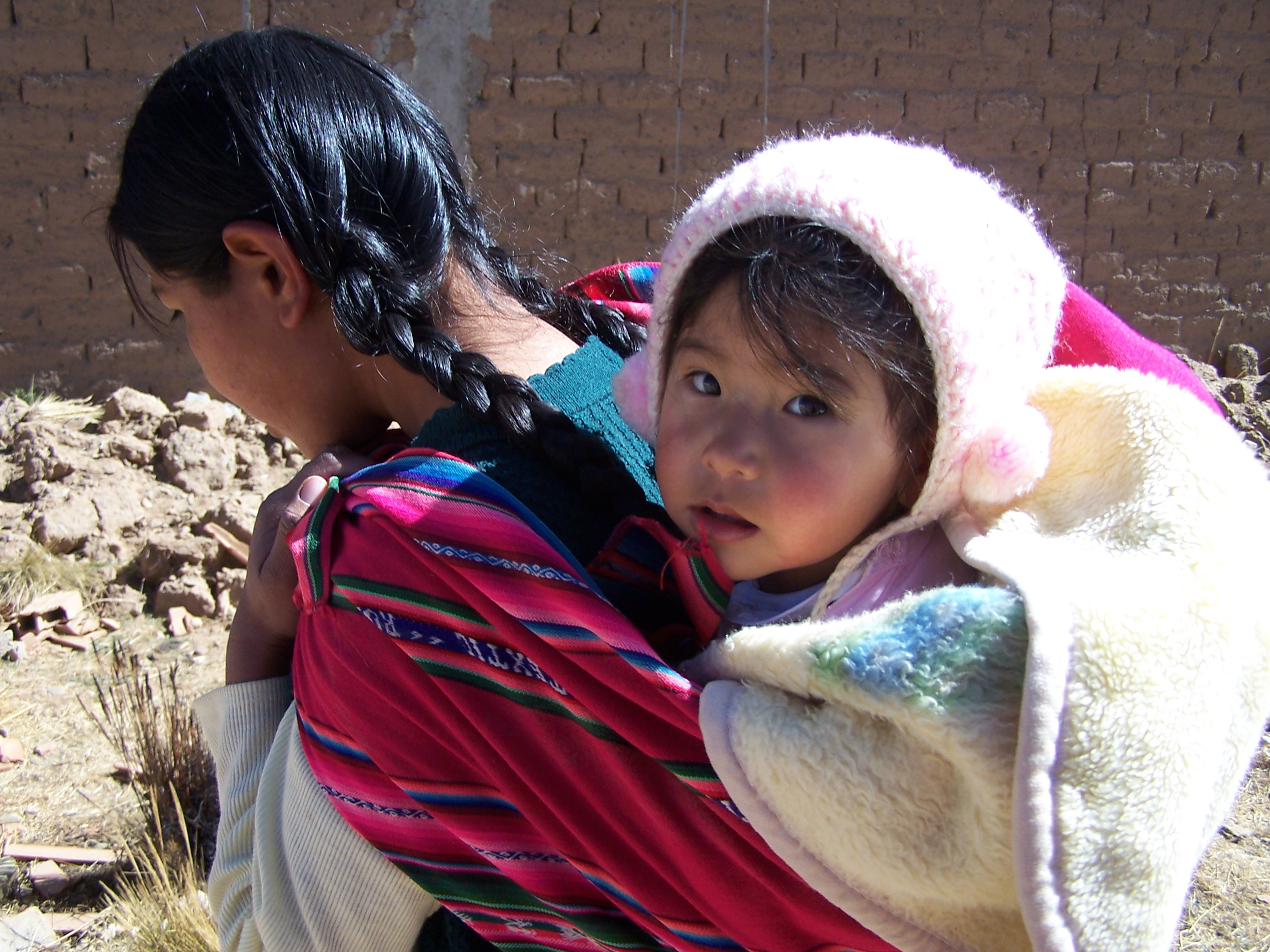 Bolivia's population