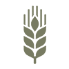 cereals.png