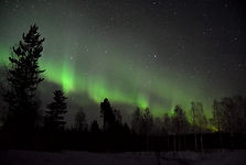 DSC_0860_Original.jpg