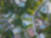 Aerial View of a Suburb