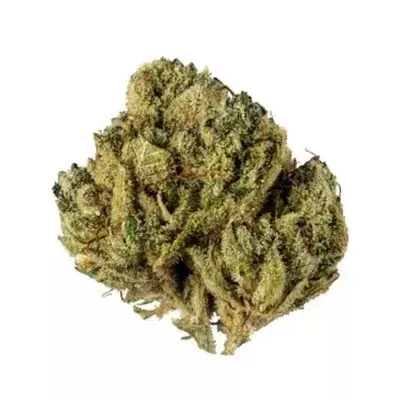 Alien OG