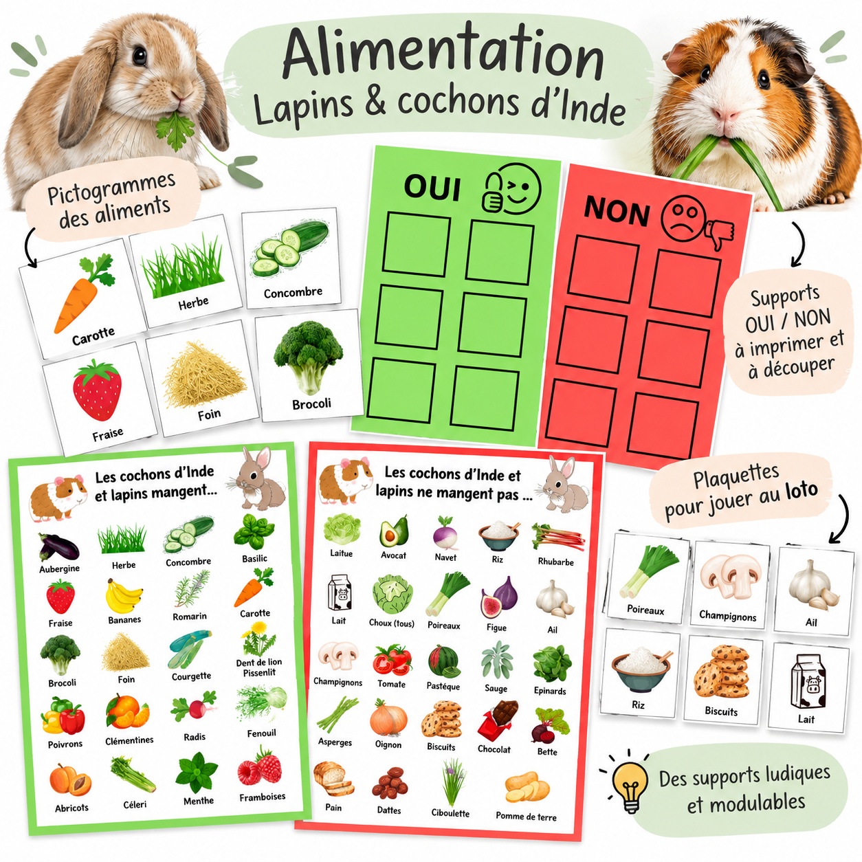 PDF - Loto aliments lapin & cochon d'Inde
