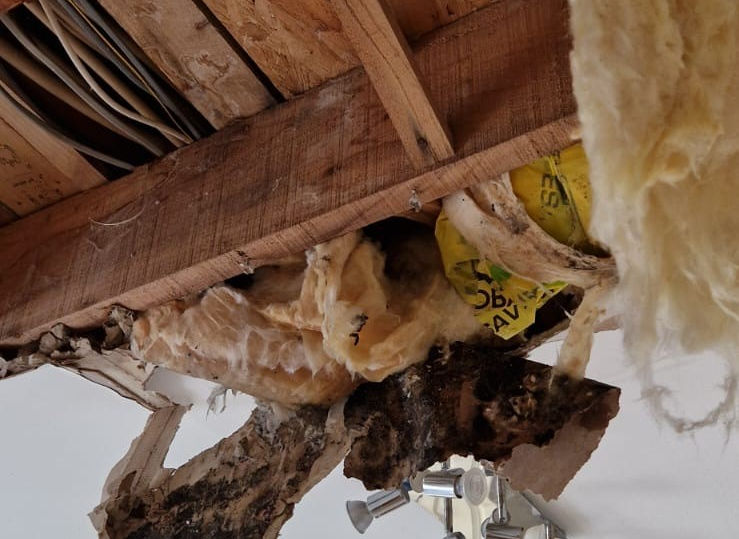 Water Damage Burst Pipes 2.jpg