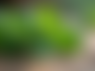 Learn how Tulsi (Holy Basil) helps relieve cold and cough naturally during monsoon. Discover easy home remedies using Tulsi leaves for better immunity.