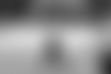 Bulldogs sink star-studded Sharks