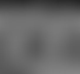 Eels batsmen take to the 'Dogs