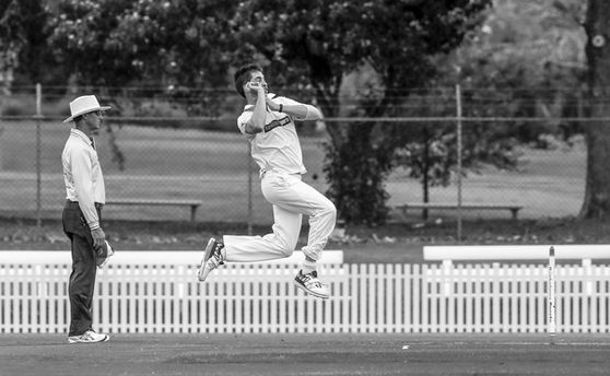 Downpour denies Dogs and Dragons