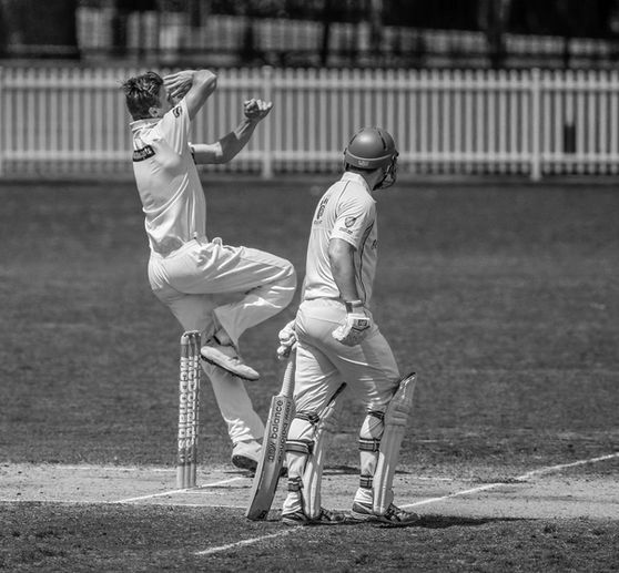 Stags stump Bulldogs