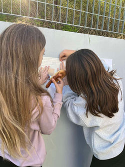 0-02-05-9e0e8346ff173f9fb1f5ff799eed21796588cfceee904c2f0e911b0053797cc5_7a1115e14a9a0265.