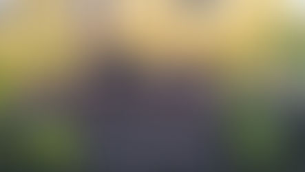 Il Priore Generale presiede il C.P.O del Cile: "Bisogna rafforzare la vita comunitaria"